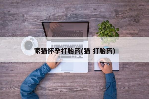 流产药网上专门卖店联系微信家猫怀孕打胎药(猫 打胎药)